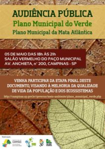 Plano-do-verde