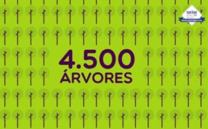 4500-arvores-sorine-614x381