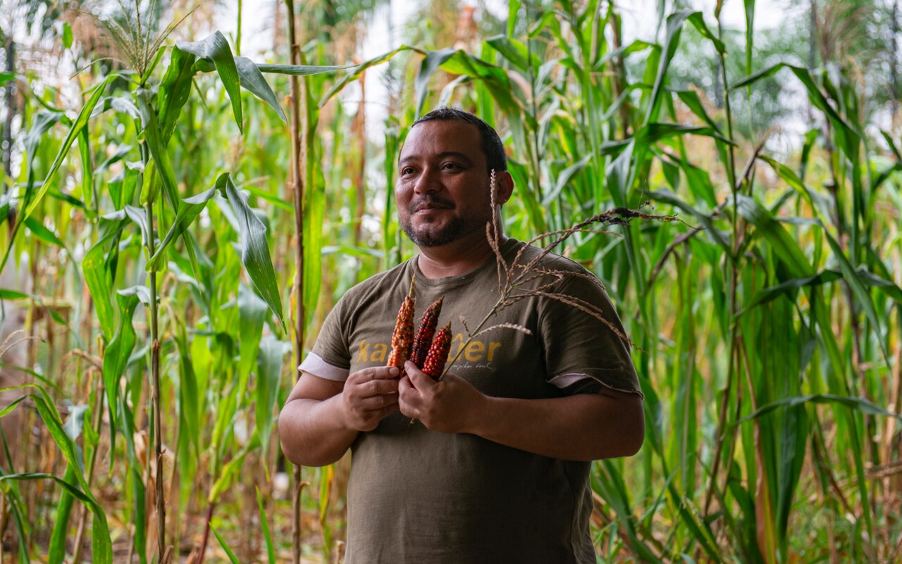 Funda O Bienal De S O Paulo Promove Colheita Do Milho Em Obra De