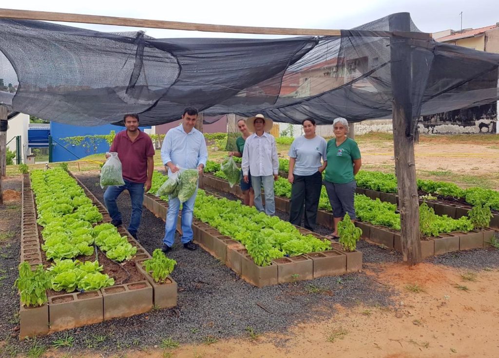Projeto Horta Solidária doa hortaliças a instituições de Indaiatuba Kleber Patricio Online